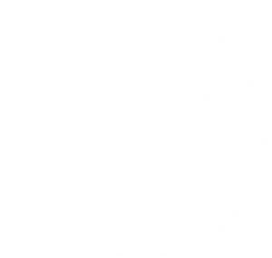 BT